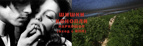дмт Богородск