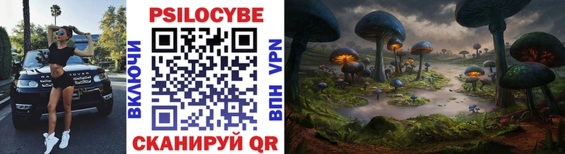 Купить где  Нытва  Галлюциногенные грибы Psilocybe 