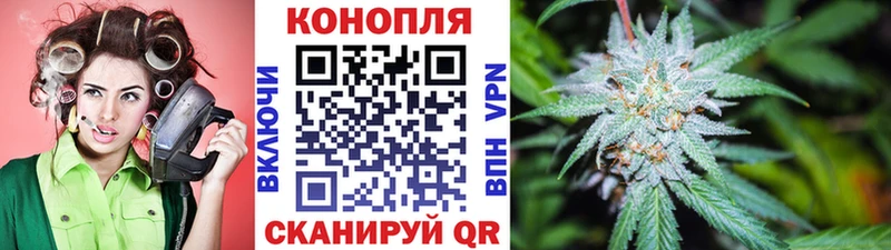 Купить закладки  Нытва  Шишки марихуана Ganja 